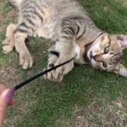 ヒメ日記 2025/07/16 13:32 投稿 かんな 水戸人妻花壇