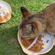 ヒメ日記 2025/07/17 12:19 投稿 かんな 水戸人妻花壇