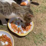 ヒメ日記 2025/07/28 12:23 投稿 かんな 水戸人妻花壇