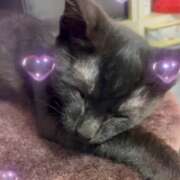 ヒメ日記 2025/07/30 12:58 投稿 かんな 水戸人妻花壇