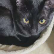 ヒメ日記 2025/12/25 07:05 投稿 かんな 水戸人妻花壇