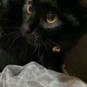 ヒメ日記 2025/12/26 08:19 投稿 かんな 水戸人妻花壇