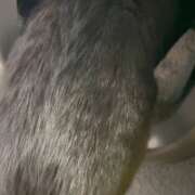 ヒメ日記 2025/12/27 07:50 投稿 かんな 水戸人妻花壇