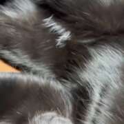 ヒメ日記 2025/12/28 10:16 投稿 かんな 水戸人妻花壇