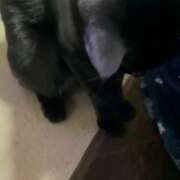 ヒメ日記 2025/12/29 07:33 投稿 かんな 水戸人妻花壇