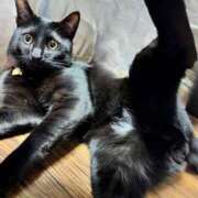 ヒメ日記 2025/12/30 08:09 投稿 かんな 水戸人妻花壇