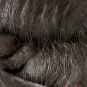 ヒメ日記 2026/01/04 07:07 投稿 かんな 水戸人妻花壇