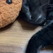 ヒメ日記 2026/01/05 08:02 投稿 かんな 水戸人妻花壇