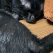 ヒメ日記 2026/01/06 06:50 投稿 かんな 水戸人妻花壇