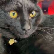 ヒメ日記 2026/01/07 07:32 投稿 かんな 水戸人妻花壇