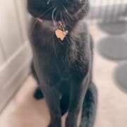 ヒメ日記 2026/01/11 08:06 投稿 かんな 水戸人妻花壇