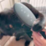 ヒメ日記 2026/01/12 09:11 投稿 かんな 水戸人妻花壇