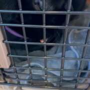 ヒメ日記 2026/01/13 09:55 投稿 かんな 水戸人妻花壇