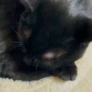 ヒメ日記 2026/01/16 08:36 投稿 かんな 水戸人妻花壇