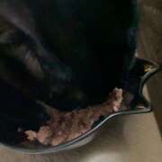 ヒメ日記 2026/01/17 07:21 投稿 かんな 水戸人妻花壇