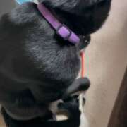 ヒメ日記 2026/01/18 09:07 投稿 かんな 水戸人妻花壇