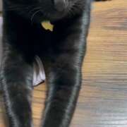 ヒメ日記 2026/01/20 08:04 投稿 かんな 水戸人妻花壇