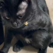 ヒメ日記 2026/01/21 10:08 投稿 かんな 水戸人妻花壇