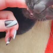 ヒメ日記 2026/01/24 08:08 投稿 かんな 水戸人妻花壇