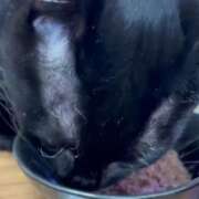 ヒメ日記 2026/01/26 16:11 投稿 かんな 水戸人妻花壇