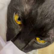 ヒメ日記 2026/01/27 07:33 投稿 かんな 水戸人妻花壇