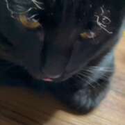 ヒメ日記 2026/01/28 07:53 投稿 かんな 水戸人妻花壇