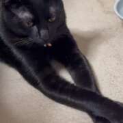 ヒメ日記 2026/02/01 10:37 投稿 かんな 水戸人妻花壇