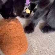 ヒメ日記 2026/02/02 08:54 投稿 かんな 水戸人妻花壇