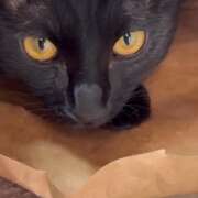 ヒメ日記 2026/02/03 10:11 投稿 かんな 水戸人妻花壇