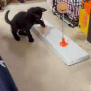 ヒメ日記 2026/02/06 12:09 投稿 かんな 水戸人妻花壇