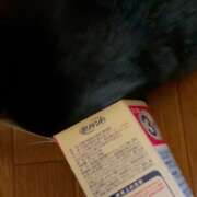 ヒメ日記 2026/02/07 08:10 投稿 かんな 水戸人妻花壇