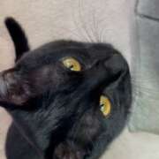 ヒメ日記 2026/02/08 08:05 投稿 かんな 水戸人妻花壇