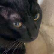 ヒメ日記 2026/02/08 12:46 投稿 かんな 水戸人妻花壇