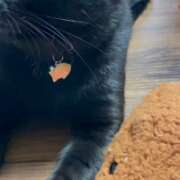 ヒメ日記 2026/02/09 07:32 投稿 かんな 水戸人妻花壇