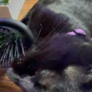 ヒメ日記 2026/02/10 07:35 投稿 かんな 水戸人妻花壇