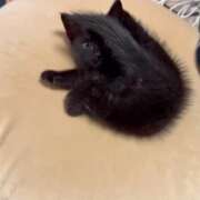 ヒメ日記 2026/02/11 06:32 投稿 かんな 水戸人妻花壇