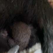 ヒメ日記 2026/02/12 07:37 投稿 かんな 水戸人妻花壇