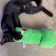 ヒメ日記 2026/02/13 07:07 投稿 かんな 水戸人妻花壇