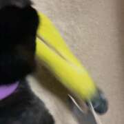 ヒメ日記 2026/02/14 10:04 投稿 かんな 水戸人妻花壇