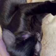 ヒメ日記 2026/02/16 08:08 投稿 かんな 水戸人妻花壇