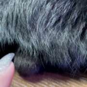 ヒメ日記 2026/02/17 07:02 投稿 かんな 水戸人妻花壇