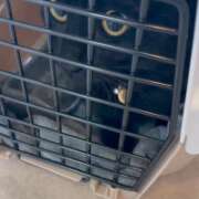 ヒメ日記 2026/02/17 10:38 投稿 かんな 水戸人妻花壇