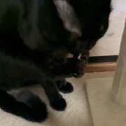 ヒメ日記 2026/02/17 19:16 投稿 かんな 水戸人妻花壇