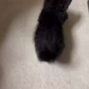 ヒメ日記 2026/02/18 06:54 投稿 かんな 水戸人妻花壇