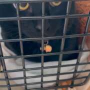 ヒメ日記 2026/02/18 16:32 投稿 かんな 水戸人妻花壇