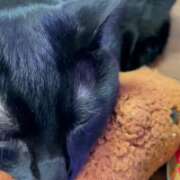 ヒメ日記 2026/02/19 08:07 投稿 かんな 水戸人妻花壇