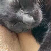 ヒメ日記 2026/02/22 11:09 投稿 かんな 水戸人妻花壇