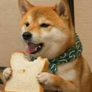 ヒメ日記 2026/02/22 20:31 投稿 かんな 水戸人妻花壇