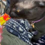 ヒメ日記 2026/02/23 09:07 投稿 かんな 水戸人妻花壇