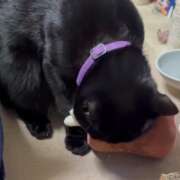 ヒメ日記 2026/02/24 08:08 投稿 かんな 水戸人妻花壇